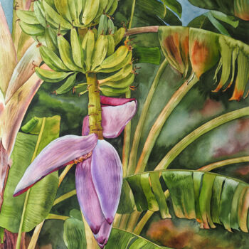 Painting titled "Banana palm" by Delnara El, Original Artwork, Watercolor