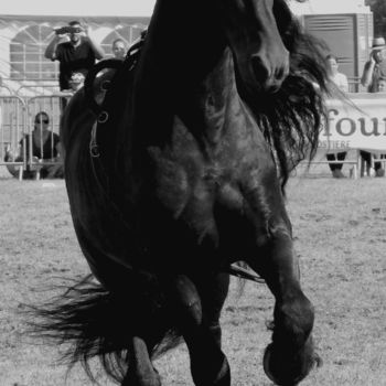 Fotografía titulada "Frison" por Delphine Fabregat, Obra de arte original, Fotografía digital