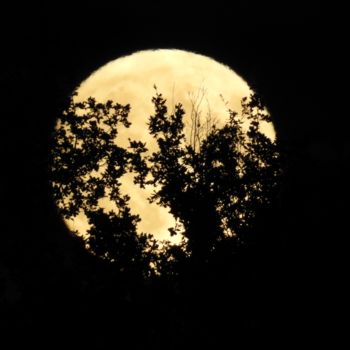 Photography titled "Pleine lune" by Delphine Fabregat, Original Artwork, Digital Photography