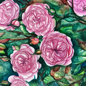 Painting titled "Roses Anglaises" by Sonia Demongivert, Original Artwork, Watercolor