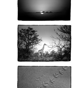 Photographie intitulée "Les Matins du Monde." par Denis Chapoullié, Œuvre d'art originale, Photographie argentique