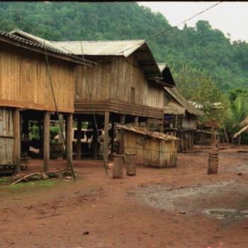 Photography titled "village nord laos" by Denis Jeanson, Original Artwork