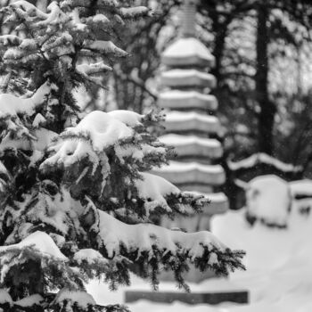 Fotografia zatytułowany „Snow in Kyoto park” autorstwa Denis Sukhinin, Oryginalna praca, Fotografia cyfrowa