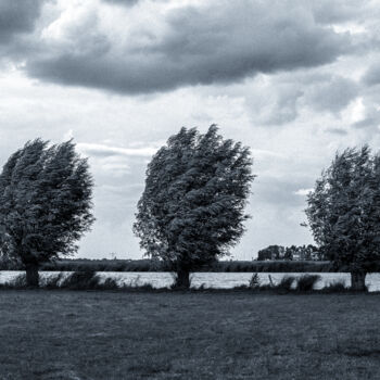 "Wind" başlıklı Fotoğraf Denis Sukhinin tarafından, Orijinal sanat, Fotoşopsuz fotoğraf
