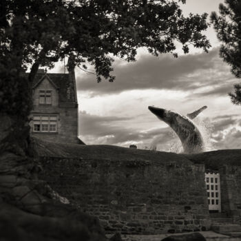 Fotografie getiteld "Whale" door Denis Sukhinin, Origineel Kunstwerk, Gemanipuleerde fotografie