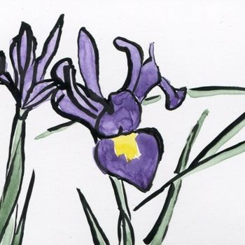 Desenho intitulada "Iris du parc d'Eugé…" por Denis Demouge, Obras de arte originais