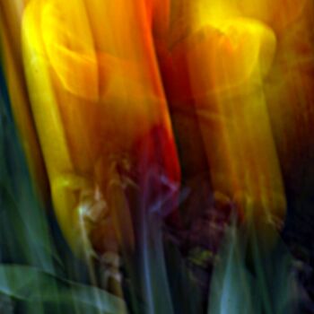 Photographie intitulée "fleurs 04" par Denise Arsac Coustoulin, Œuvre d'art originale, Photographie numérique