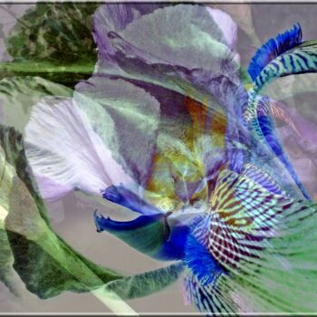 Фотография под названием "Fleurs irisées !" - Denise Arsac Coustoulin, Подлинное произведение искусства
