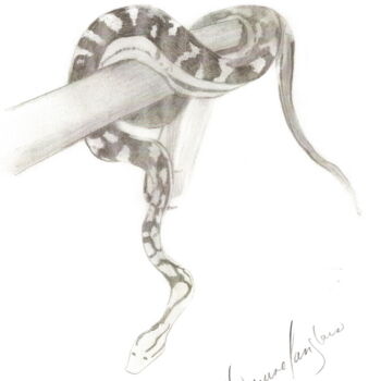 Peinture intitulée "Serpent" par Denise Langlais, Œuvre d'art originale, Huile