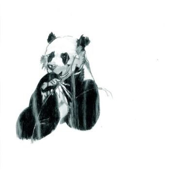 Malerei mit dem Titel "panda" von Denise Langlais, Original-Kunstwerk, Öl