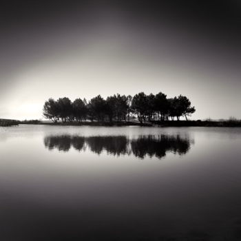 Photographie intitulée "Reflecting Trees" par Denis Olivier, Œuvre d'art originale
