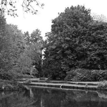 Photographie intitulée "Vue sur le lac" par Denis Hirst, Œuvre d'art originale