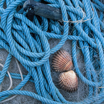 "Seaside Detail Nets…" başlıklı Fotoğraf Derek Harris tarafından, Orijinal sanat, Fotoşopsuz fotoğraf