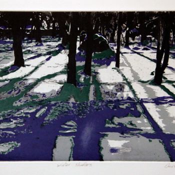 Prenten & gravures getiteld ""Winter Shadows"" door Dermot Ryan, Origineel Kunstwerk, Ets