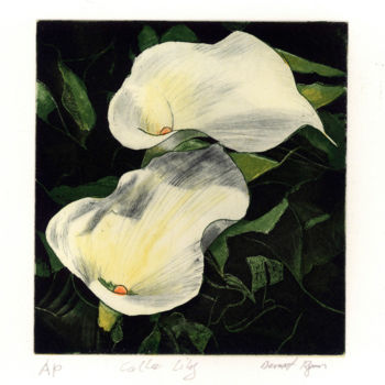 Estampas & grabados titulada ""Cala Lily"" por Dermot Ryan, Obra de arte original, Aguafuerte