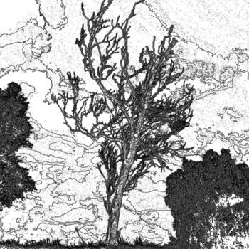 Arts numériques intitulée "L'arbre dénudé" par René Desenne, Œuvre d'art originale, Autre