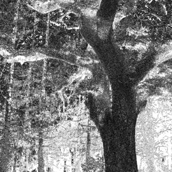 Digitale Kunst getiteld "La forêt des mystèr…" door René Desenne, Origineel Kunstwerk, Anders