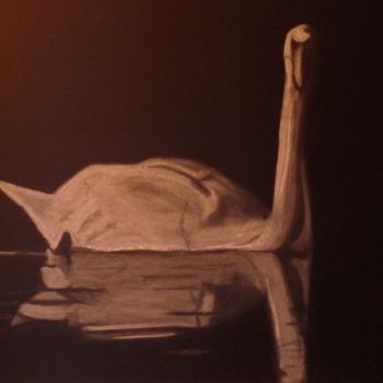 Drawing titled "Fait moi un cygne" by Les Dessins De Sébastien, Original Artwork, Other