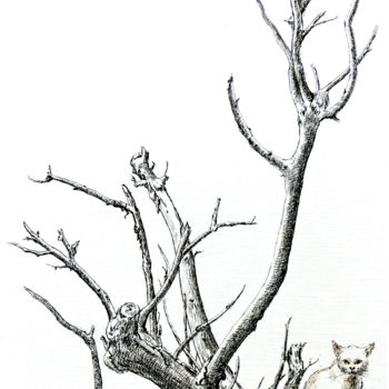 Drawing titled "Chat perché" by Pierre Fabry, Original Artwork, Ink