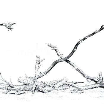 Dessin intitulée "Bois croisés" par Pierre Fabry, Œuvre d'art originale, Encre