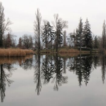 Photography titled "Reflets sur un lac" by Pierre Fabry, Original Artwork, Digital Photography