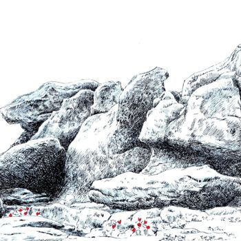 Dibujo titulada "Coquelicots en rocs" por Pierre Fabry, Obra de arte original, Tinta