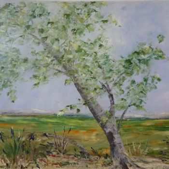 Painting titled "Plateau de virac" by R Devarrewaere, Original Artwork, Oil