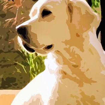 Digital Arts με τίτλο "Meet the dog: a pro…" από Devonmeert, Αυθεντικά έργα τέχνης, Ψηφιακή φωτογραφία