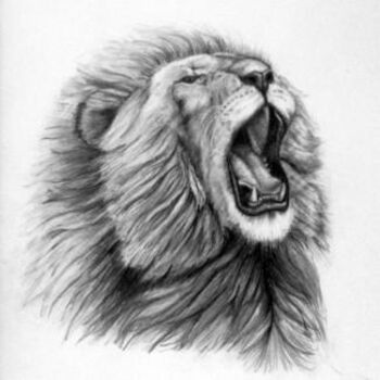 Disegno intitolato "lion" da David Wendes, Opera d'arte originale