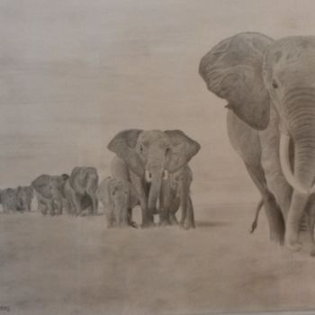 Disegno intitolato "branco di elefanti" da Nordin, Opera d'arte originale, Matita