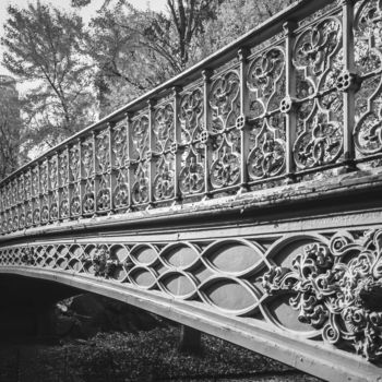 "Pine Bank Bridge, C…" başlıklı Fotoğraf Diana Rivera tarafından, Orijinal sanat, Dijital Fotoğrafçılık