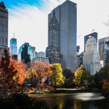 Photographie intitulée "Central Park Landsc…" par Diana Rivera, Œuvre d'art originale, Photographie numérique
