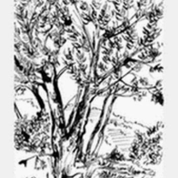 Dessin intitulée "les pins au Fort de…" par Diane Medus, Œuvre d'art originale, Encre