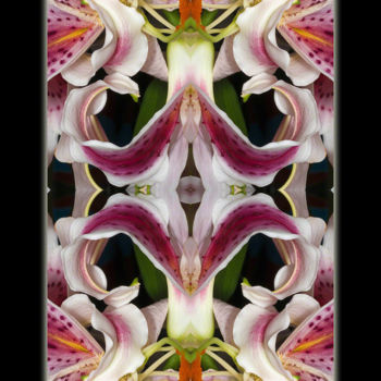 Photography titled "Regal Lilies" by Dick And Rosanne, Original Artwork