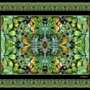 Photography titled "Sumptuous Succulents" by Dick And Rosanne, Original Artwork, Digital Photography