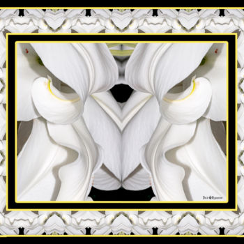 Photography titled "White Lily" by Dick And Rosanne, Original Artwork, Manipulated Photography