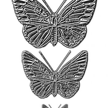 Arts numériques intitulée "papillons argent" par Did, Œuvre d'art originale