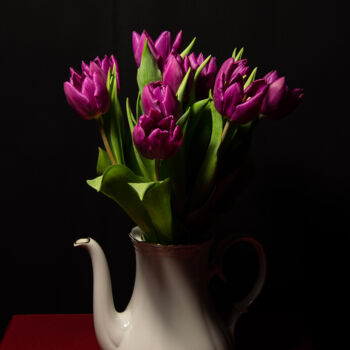 Photographie intitulée "Les tulipes violett…" par Didier Bloch, Œuvre d'art originale, Photographie numérique