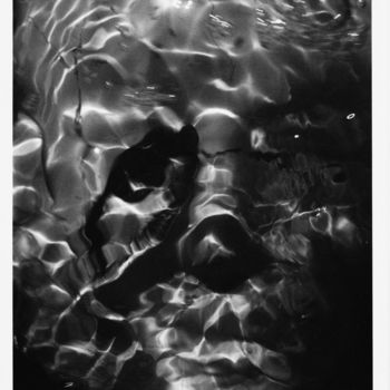 Fotografia zatytułowany „aquatiques-4.jpg” autorstwa Didier Hamonet, Oryginalna praca