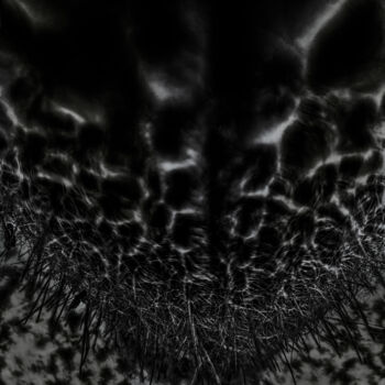 Photographie intitulée "Espostoa melanostele" par Didier Van Der Borght, Œuvre d'art originale, Photographie numérique