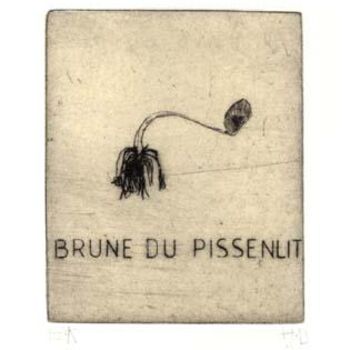 Incisioni, stampe intitolato "la brune du pissenl…" da Didier Hamey, Opera d'arte originale, incisione
