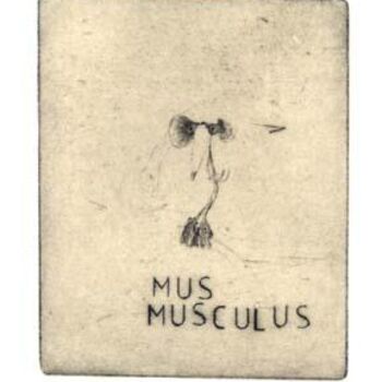 Impressões e gravuras intitulada "mus musculus" por Didier Hamey, Obras de arte originais, Gravação