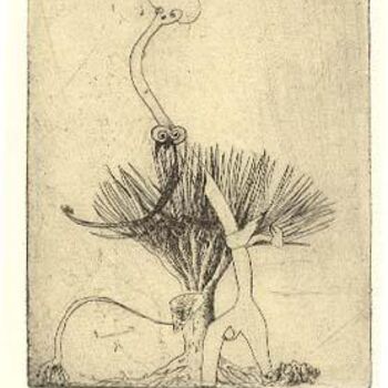 Incisioni, stampe intitolato "Quand la Ballatrix…" da Didier Hamey, Opera d'arte originale, incisione