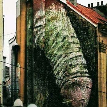 Fotografia intitulada "graffe-de-bruxelles…" por Didier Moons, Obras de arte originais