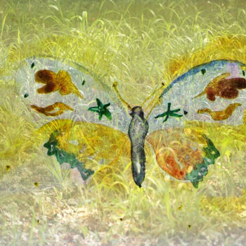 "papillon" başlıklı Dijital Sanat Didon tarafından, Orijinal sanat, Dijital Fotoğrafçılık