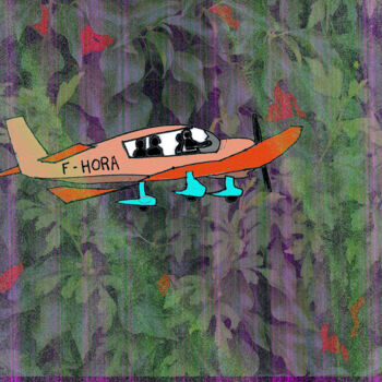 Artes digitais intitulada "avion coucou" por Didon, Obras de arte originais, Trabalho Digital 2D