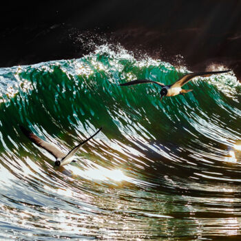 제목이 "I Surf, You Surf, T…"인 사진 Diego Stamato로, 원작, 조작된 사진