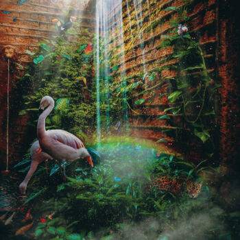 Photography titled "My Private Garden *…" by Diego Stamato, Original Artwork, Manipulated Photography