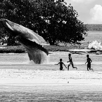 Photographie intitulée "Whale Island" par Diego Stamato, Œuvre d'art originale, Photographie manipulée