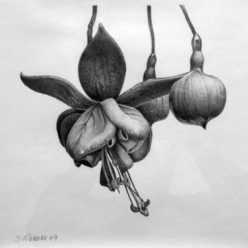 Σχέδιο με τίτλο "Levitating blossoms" από Dietrich Moravec, Αυθεντικά έργα τέχνης, Άλλος